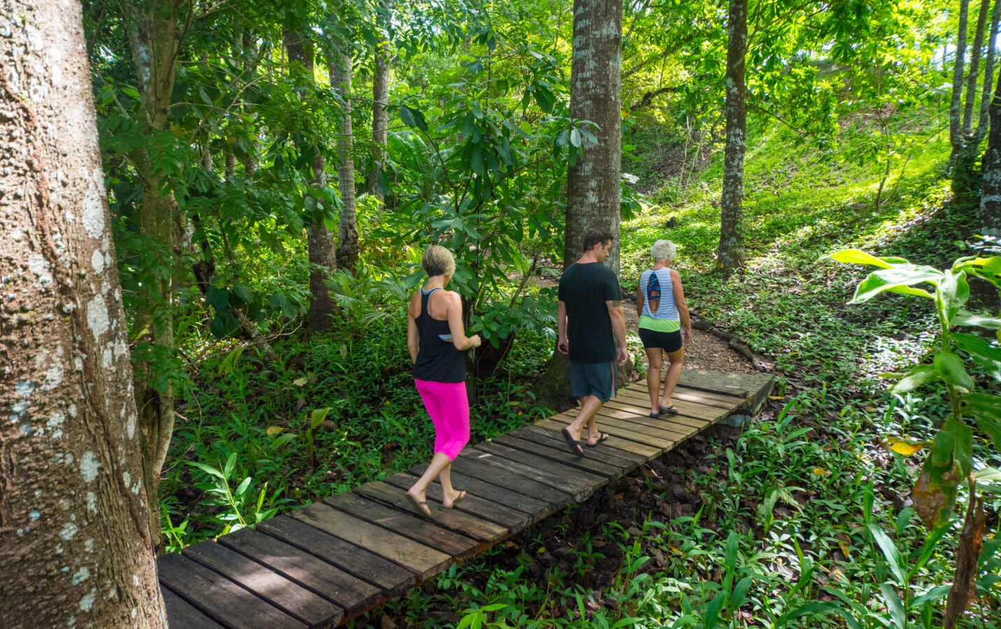 Walk on our retreat center nature trail and catch some tropical wildlife