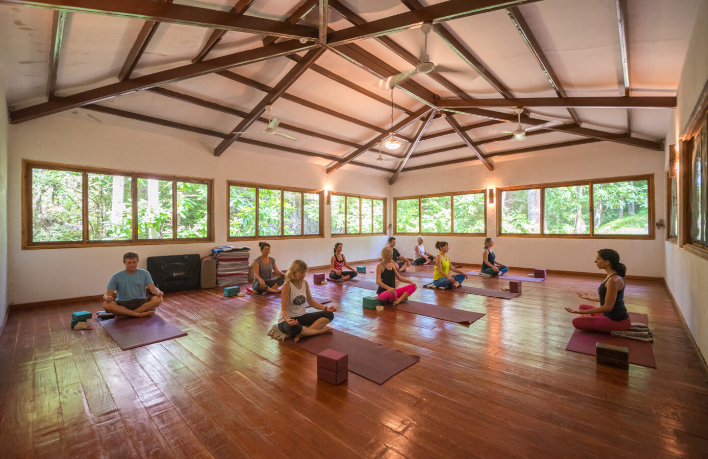 Panama Yoga Studio set in the Jungle.