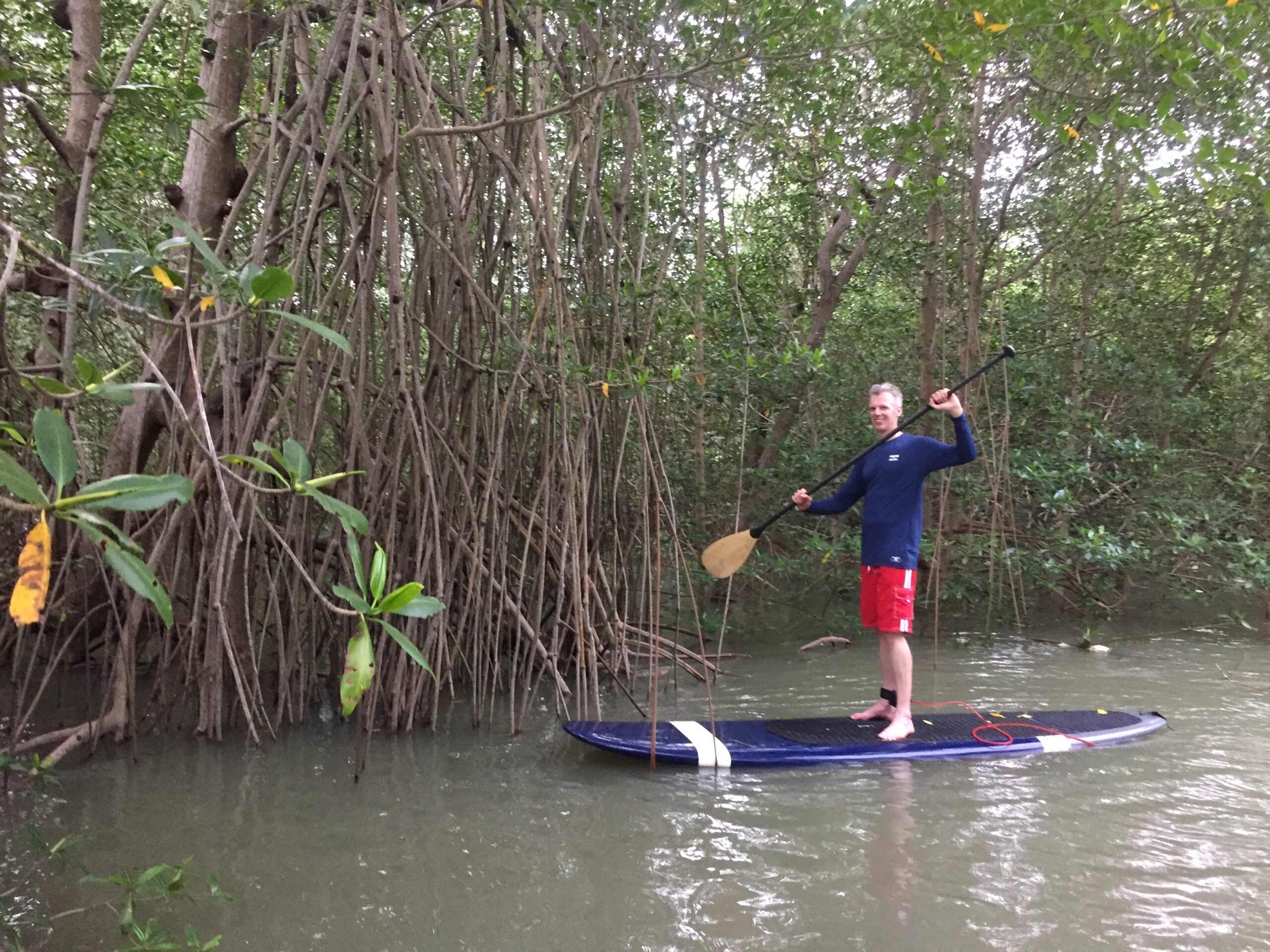 sup-excursion-mangrove-paddle-panama Exploring mangroves on paddleboards in Panama, one of the best family vacation destinations.