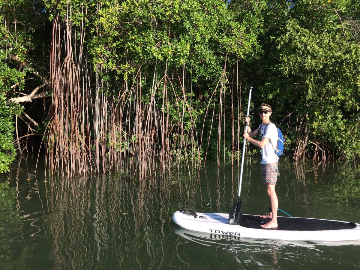 Exploring mangroves on paddleboards in Panama, one of the best family vacation destinations. Semester abroad students exploring Panama mangroves ecology field study