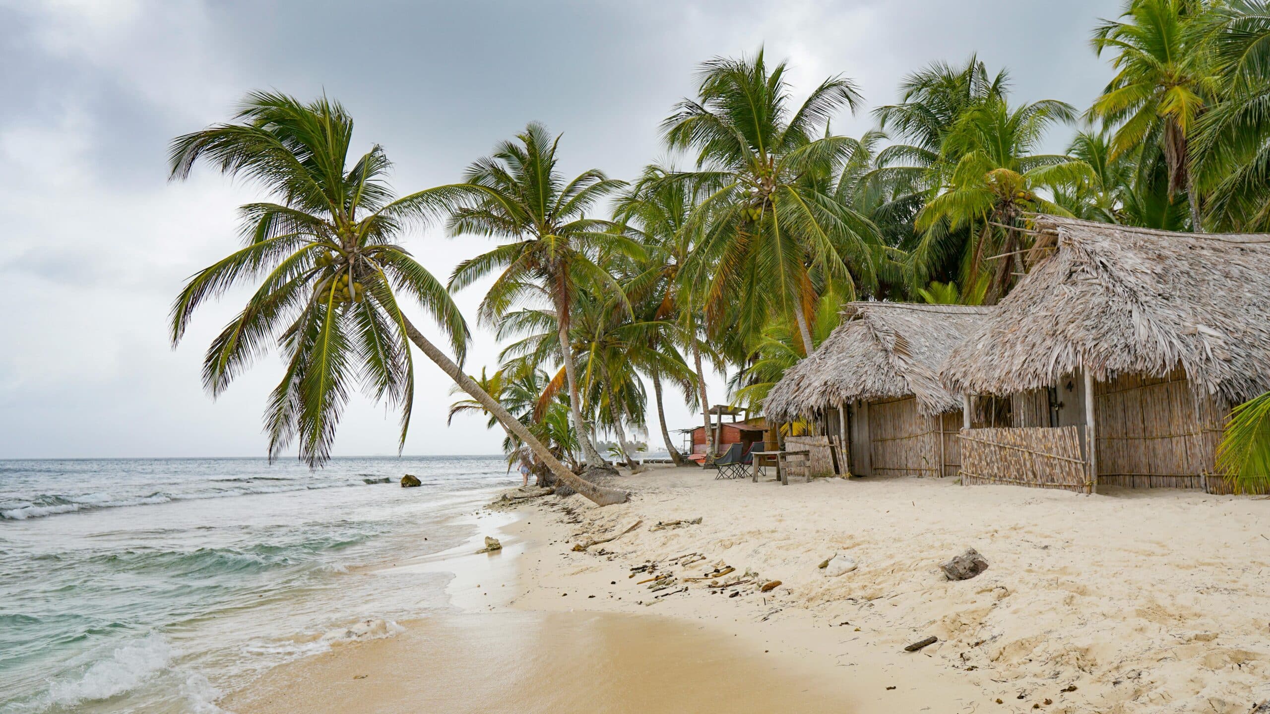 Traditional huts and palm trees on a white sand beach in the San Blas Islands, Panama, with calm ocean waves and tropical scenery near Panama City. Photo by Volkan Sorkun Traditional huts and palm trees on a white sand beach in the San Blas Islands, Panama, with calm ocean waves and tropical scenery near Panama City. Photo by Volkan Sorkun